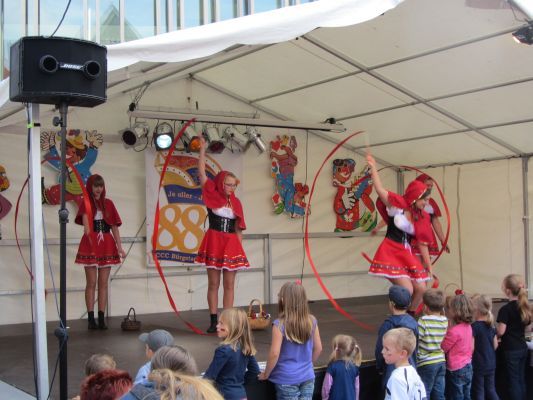 Strassen-_und_Hoffest 2014_139.jpg